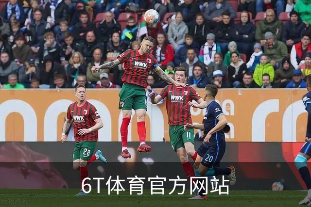 6T体育官方网站公司简介